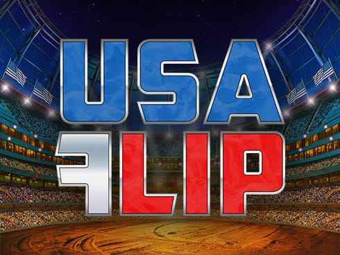 USA Flip game icon