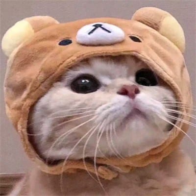 Imran Khan Niazi avatar