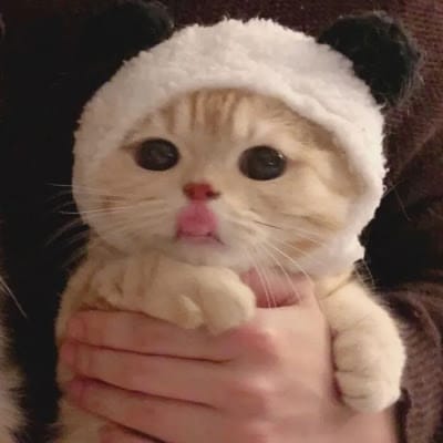 فضل الرحمن avatar