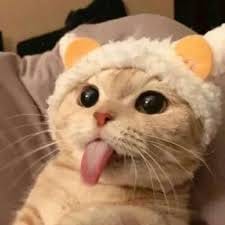 آغا علی avatar